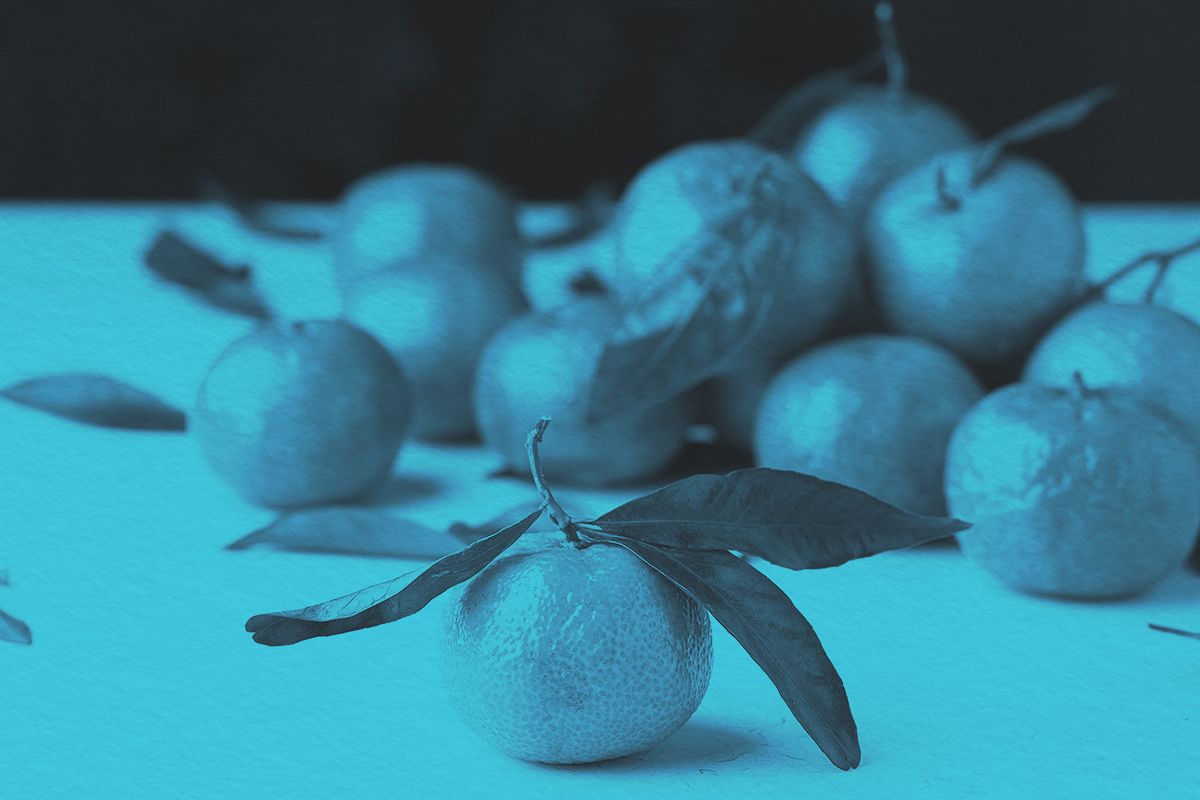 Did Orange the Fruit or the Color Come First?