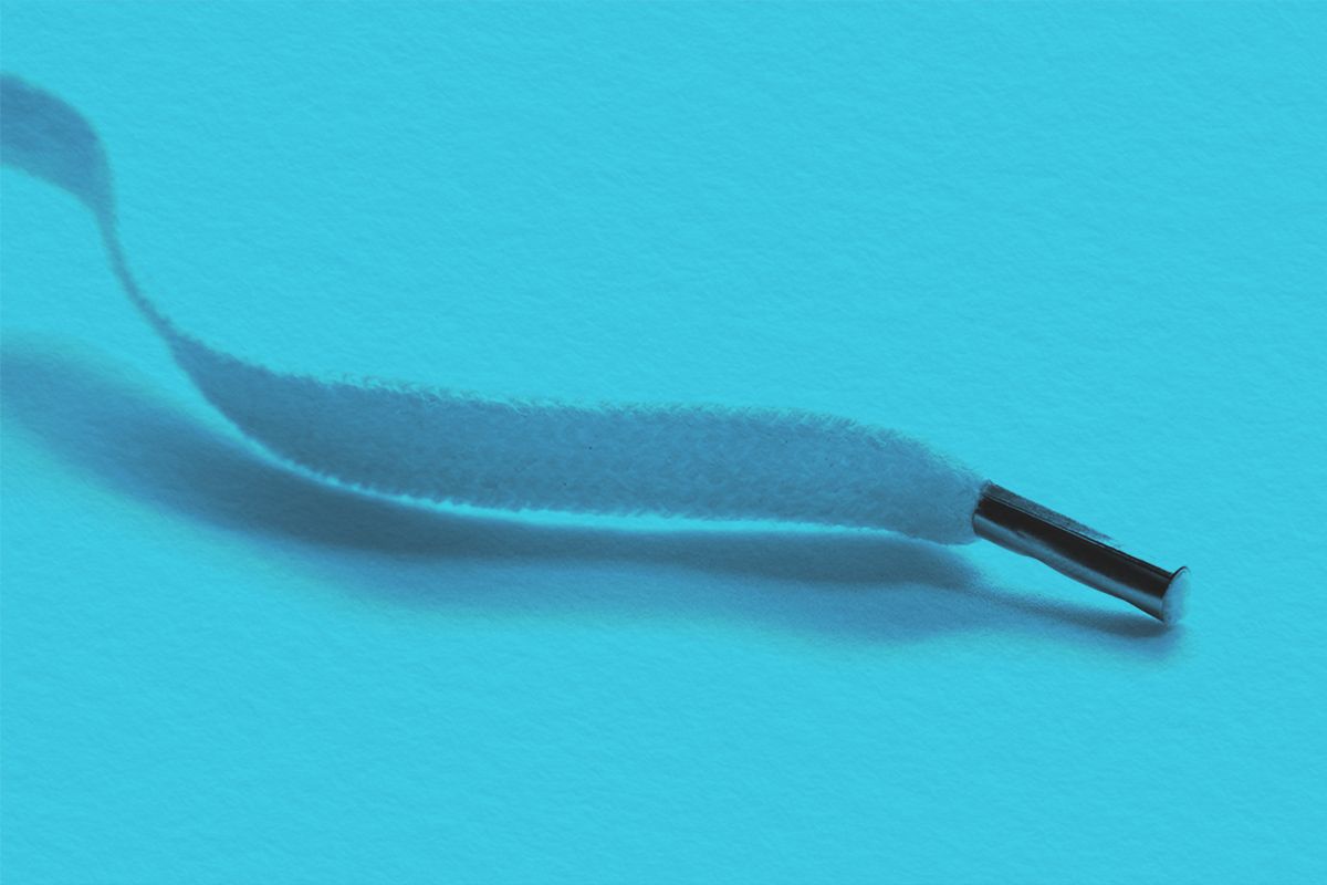 The metal anglet at the end of a shoelace