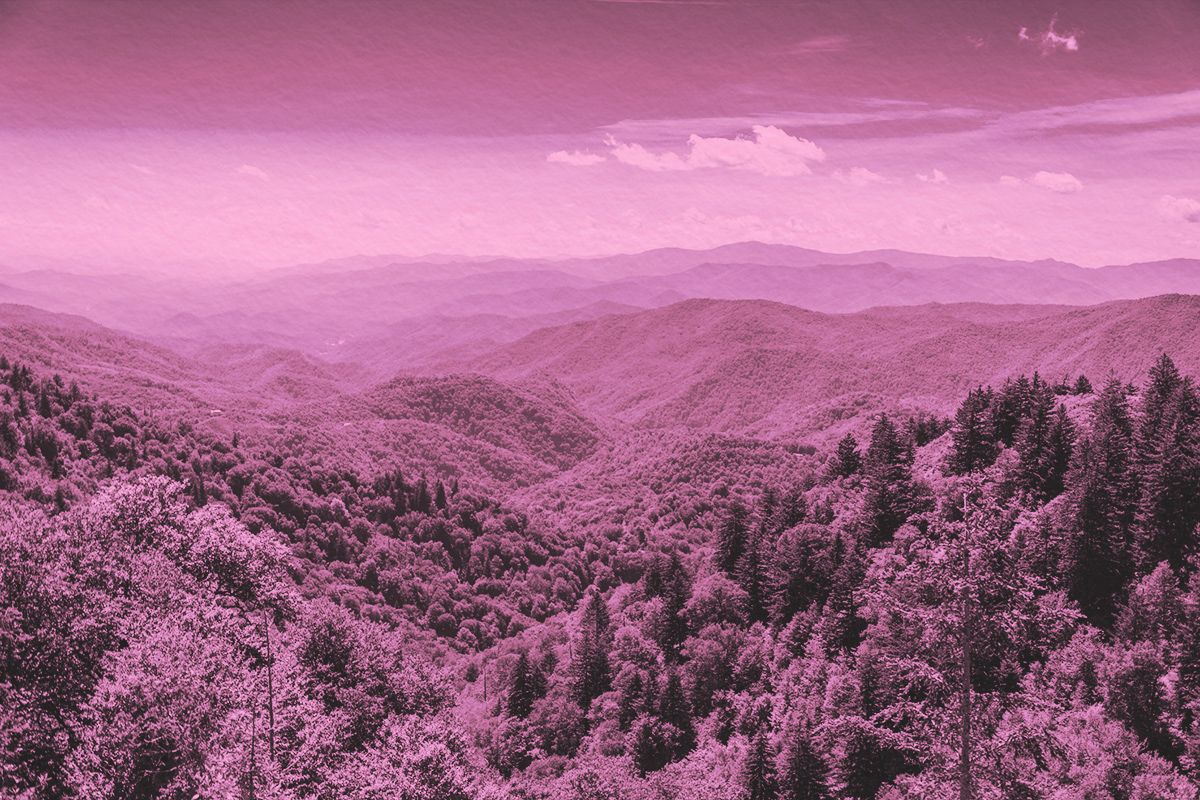 ‘A Prettyful Way of Speakin’’ — All About Appalachian English