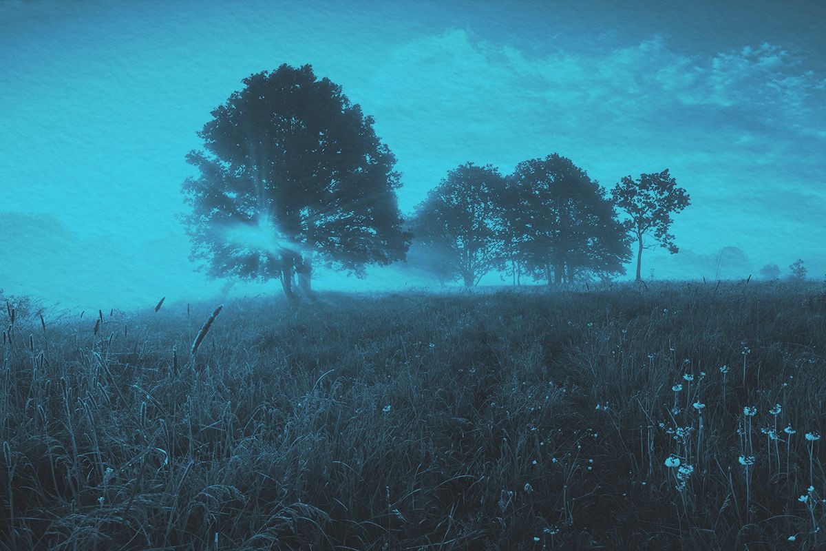 View of the Spring sunrise on meadow