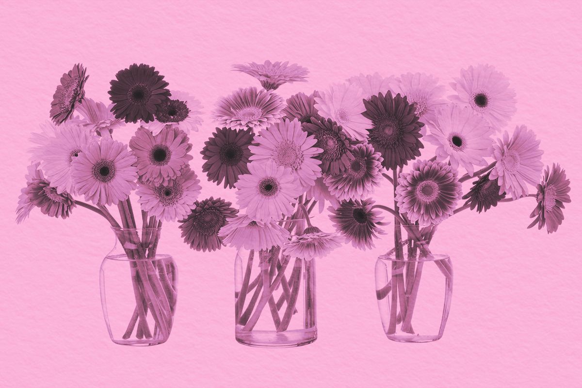 bouquets of daisy flowers