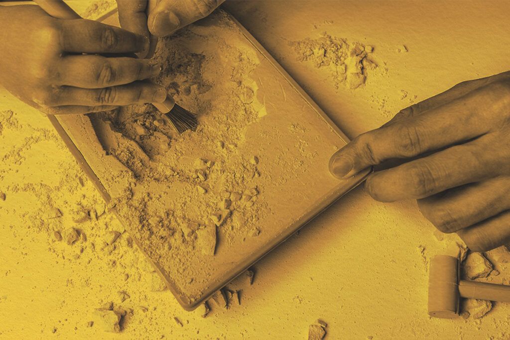 Close-up of playing in the archaeological excavations