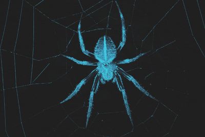 9 Words for the Most Common Phobias