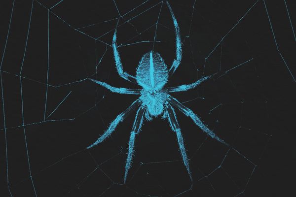9 Words for the Most Common Phobias